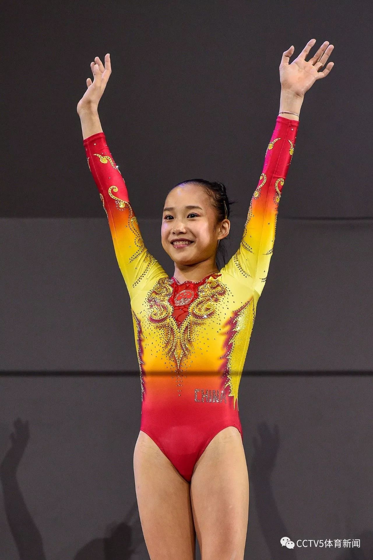 范忆琳运动馆(图8)