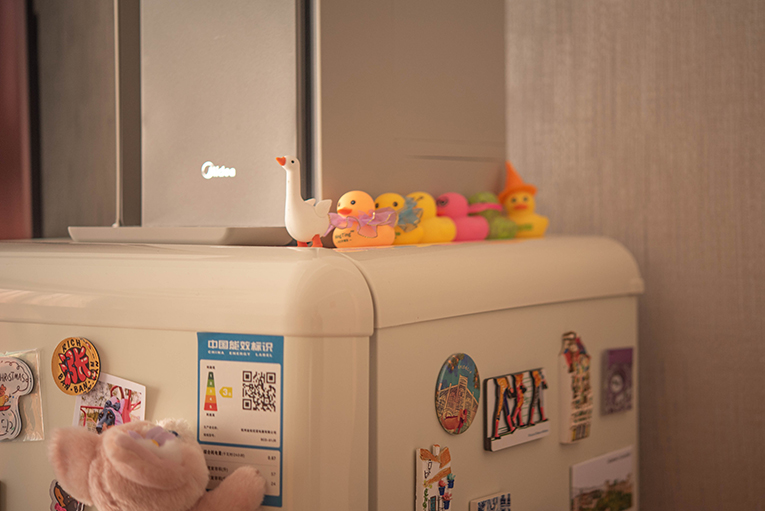 简欧风格 & 人间烟火气息(图3)