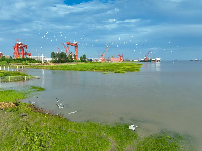 启东胜狮能源装备有限公司竣工(图11)